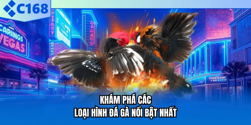 Khám phá các loại hình đá gà nổi bật nhất Khám phá các loại hình đá gà nổi bật nhất