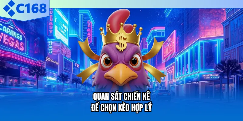 Quan sát chiến kê để chọn kèo hợp lý Quan sát chiến kê để chọn kèo hợp lý
